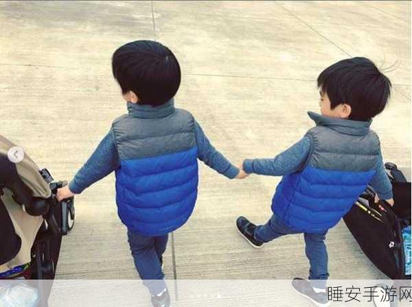 爆炒多汁小美男通感双胞胎:热情四溢的双胞胎小帅哥"😄