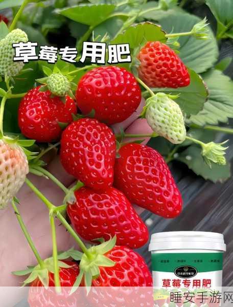 www.草莓视频:草莓影视" 🍓