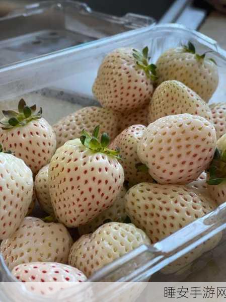 www.草莓视频:草莓影视" 🍓