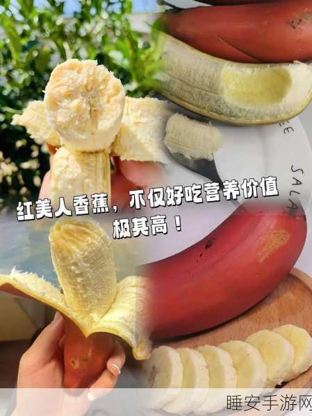 香蕉视频2023:2023年香蕉影像" 🍌