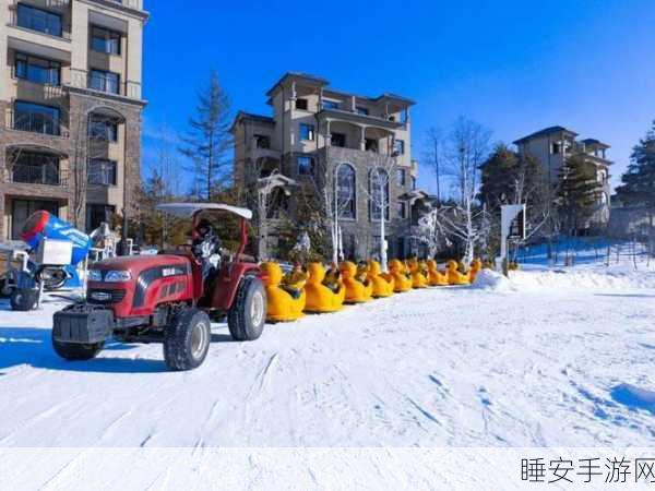 动物滑雪场来袭!打造梦幻雪域乐园,体验趣味放置经营