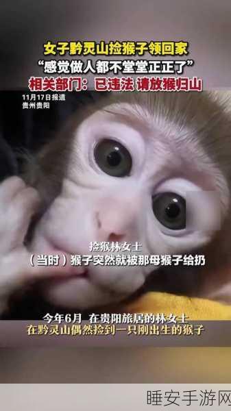 二人生猴子免费看:二人共享猴子观赏体验"🐒