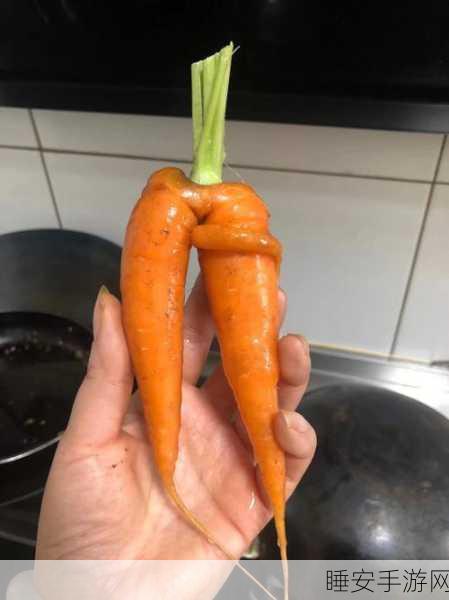 光腿拔罗卜：光腿拔萝卜比赛＂🥕