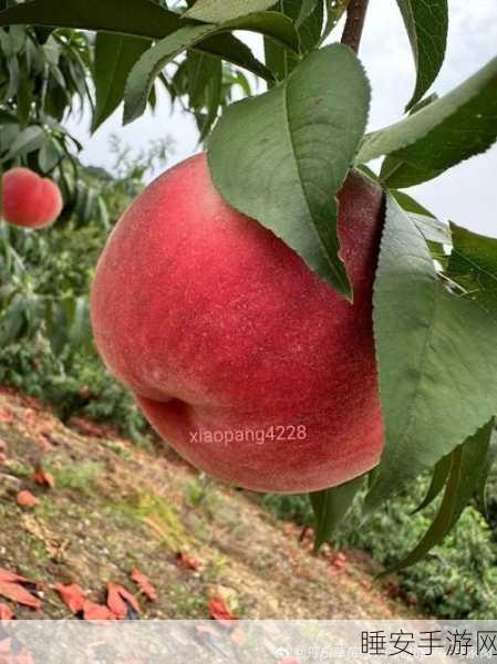 红桃AV一区二区免费看:免费欣赏红桃AV精品频道" 🍑