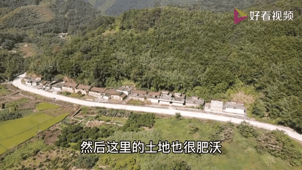 儿子开垦妈妈荒废的肥田:儿子开垦母亲闲置的肥沃土地" 🌱