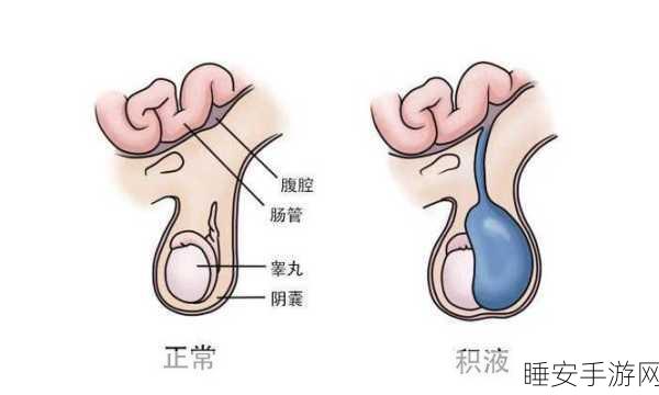 小孩半夜被女孩吃睾丸正常吗:小孩半夜被女孩咬伤生殖器算不算正常?😳