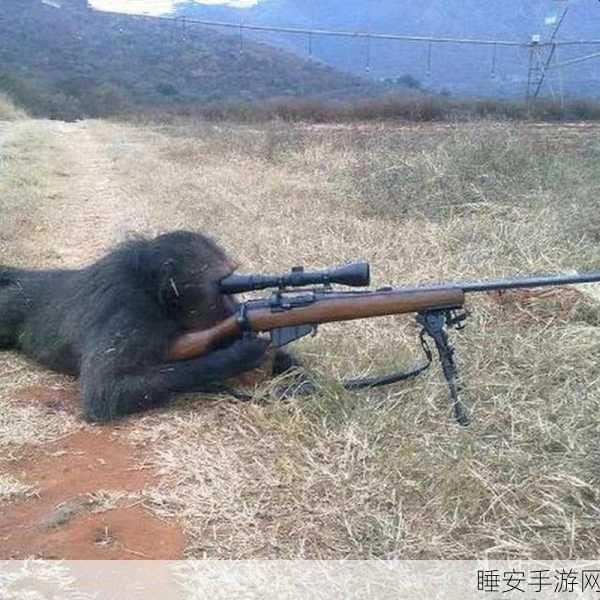 狙击手请就位火爆上线!体验极致射击快感,闯关挑战等你来战!