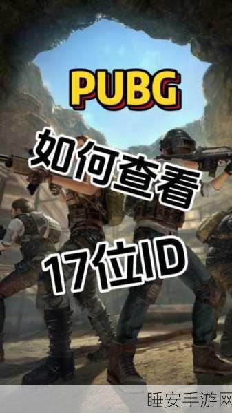 绝地求生国服最新消息:PUBG国服最新动态📢