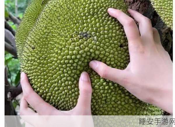 菠萝蜜视频在线观看:菠萝蜜影片观看" 🍍