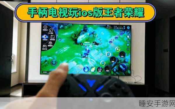 核显能打王者荣耀:集显也能畅玩王者荣耀!"🎮