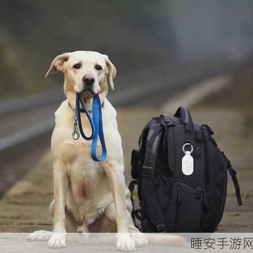 漫蛙防丢失:漫蛙防丢器" 🐸