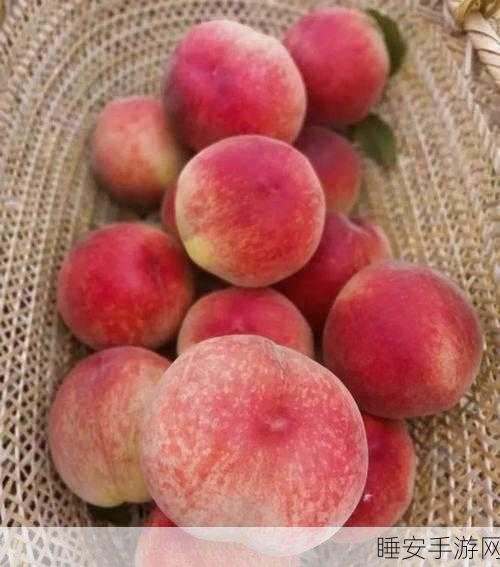 蜜桃永久:桃花常驻"🍑