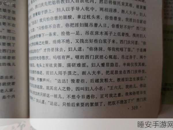 金瓶梅1-5:《金瓶梅第一至第五卷》📚