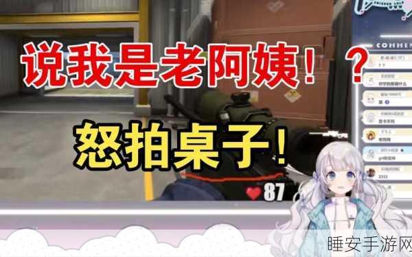 暴躁老阿姨csgo图片:愤怒的老阿姨CSGO截图"😠