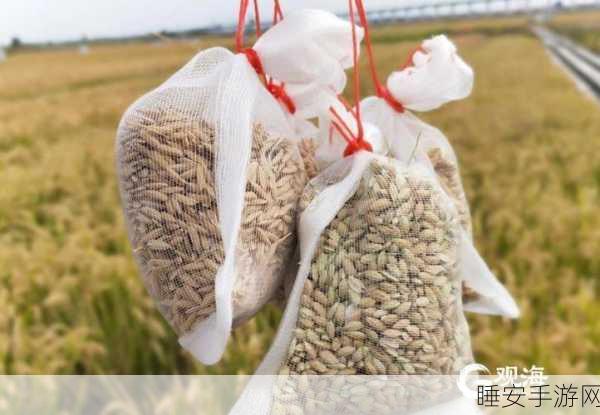 麻豆产精国品一二三产区区农民:麻豆精产国家一二三产业区农民" 🌾