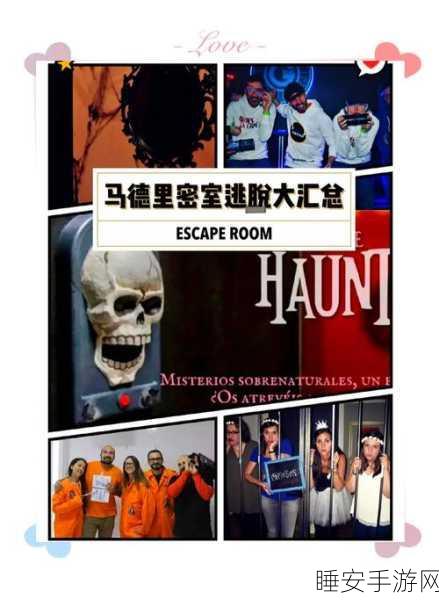揭秘Solve It 3: Killer Fans——沉浸式互动解谜剧情游戏震撼来袭!
