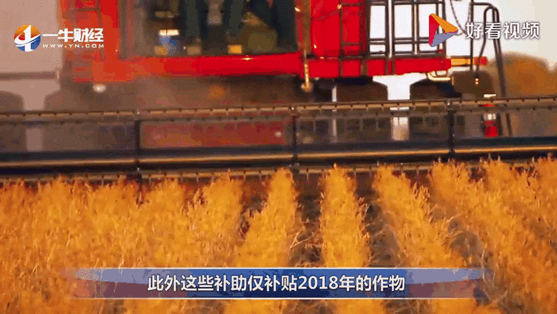 欧美破苞系列二十六大豆行情:欧美大豆市场动态系列之二十六" 🌾