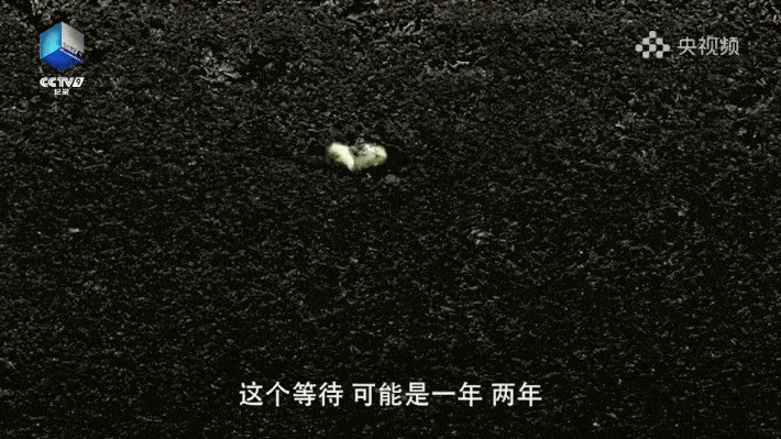 欧美破苞系列二十六大豆行情:欧美大豆市场动态系列之二十六" 🌾
