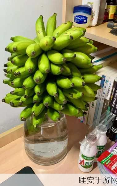 香蕉福利导航:香蕉福利指南" 🍌