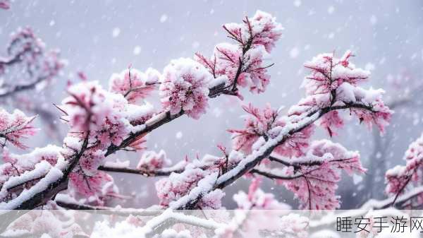 瑟瑟动漫:寒风中的动漫"❄️