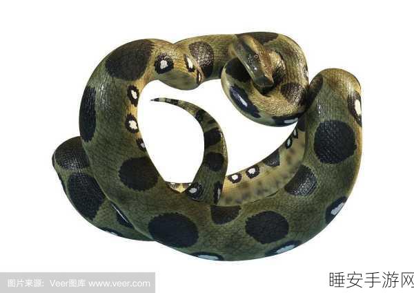蟒蛇大作战,3D休闲模拟新体验,挑战你的生存智慧!