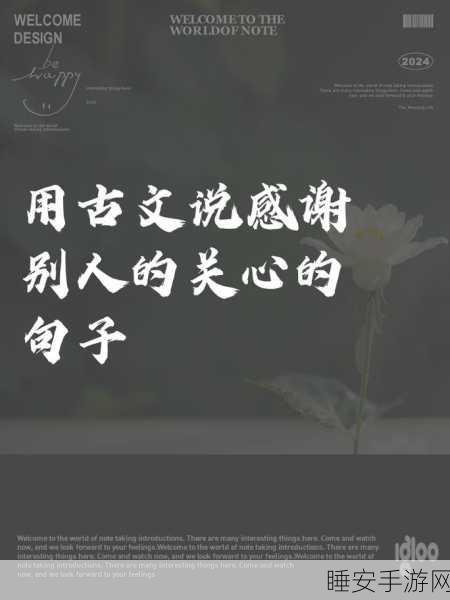 福利网站你会回来感谢我的:你一定会因这个福利网站而感谢我!😊