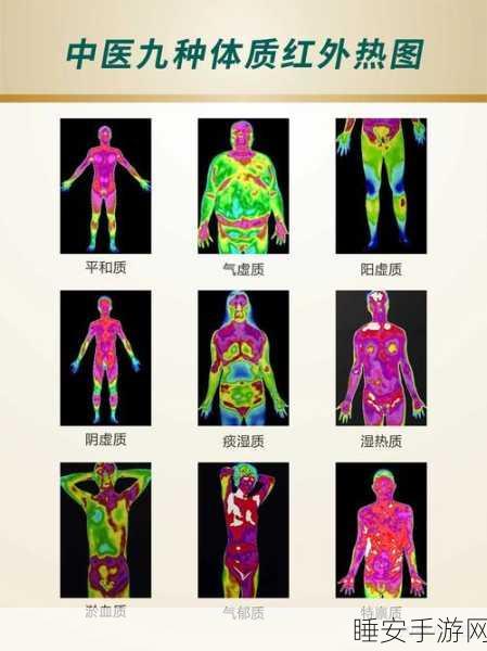 99久热在线精品996热是什么:99久和996热的区别是什么?" 😊