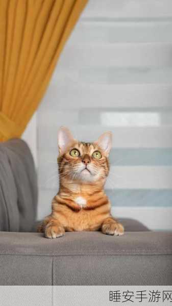 萌宠治愈系新游上线!猫猫的零食小店模拟经营乐趣多