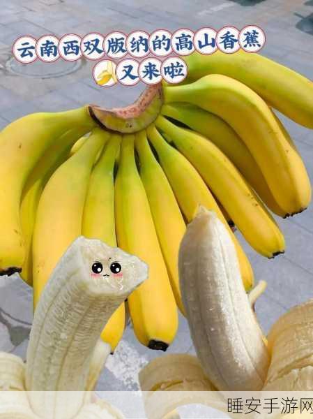 www.香蕉:www.香蕉网 🍌