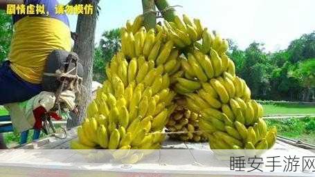 95香蕉视频:香蕉95视频" 🍌