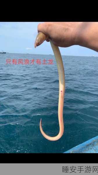 休闲新宠,来拔土龙吧手机版下载,收集养成乐趣多