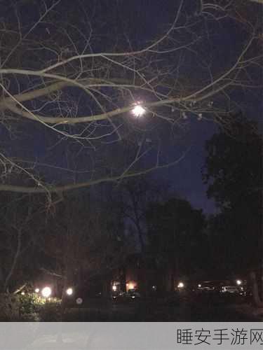 今夜:今晩" 🌙