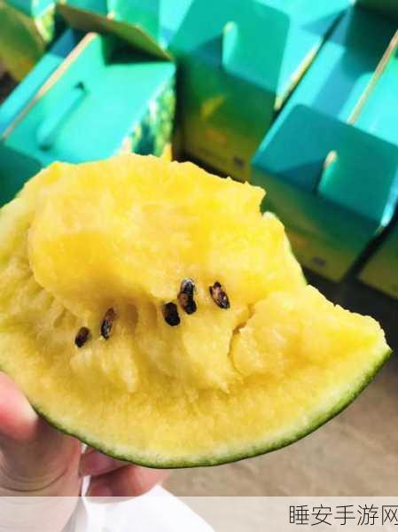 吃瓜网曝揭秘黑料:爆料揭秘:吃瓜网黑料内幕" 🍉