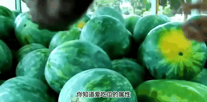 吃瓜网曝揭秘黑料:爆料揭秘:吃瓜网黑料内幕" 🍉