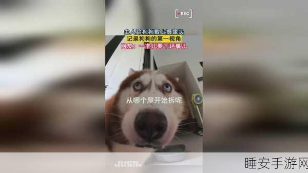 产品一品二品国精强奸:一品二品国精的强大产品" 😊