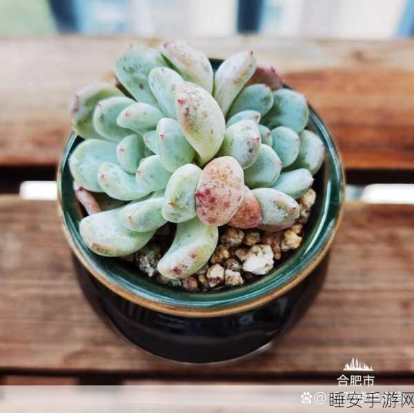 穿成黄油魅魔要如何求生雪爪:作为黄油魅魔如何生存下去雪爪" 😄