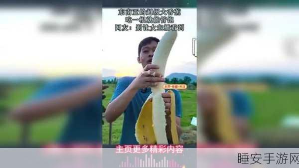 大香蕉在线看:大香蕉视频观看" 🍌