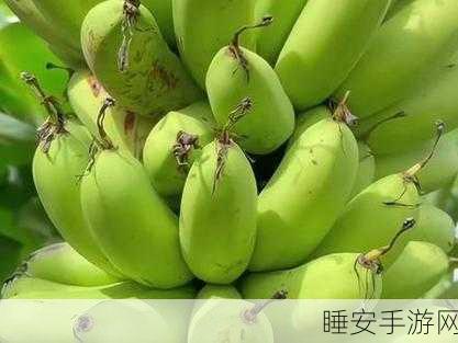 大香蕉在线看:大香蕉视频观看" 🍌
