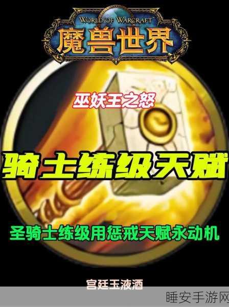 WLKP2惩戒骑天赋雕文:WLKP2惩戒骑技能与符文解析" 🔍