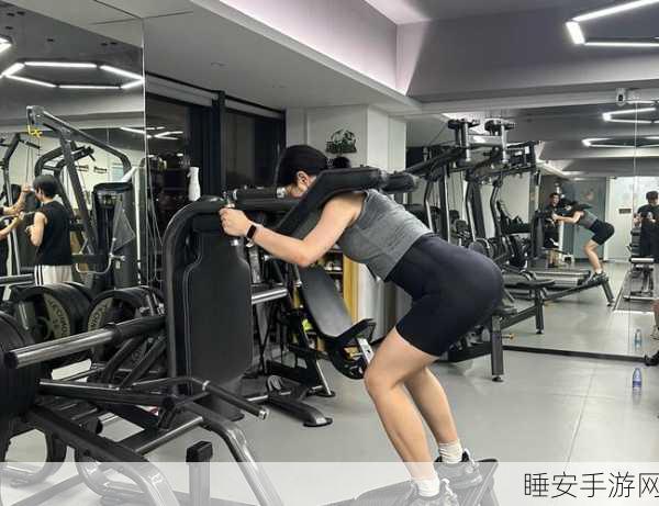 健身房电源，燃爆健身房的动作冒险之旅安卓版下载开启