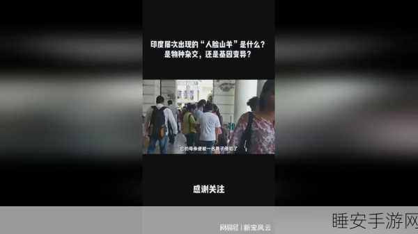 韩国三色电费2024在线:2024年韩国三色电费在线服务" 🌐