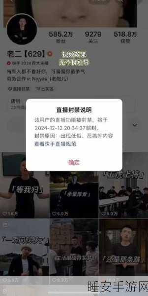 快手网红黑料:快手网红的隐秘往事" 🕵️♂️
