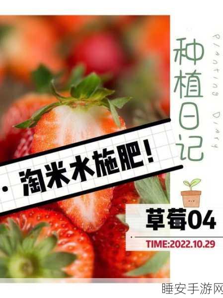 草莓视频黄app下载：草莓视频黄版客户端下载＂🍓