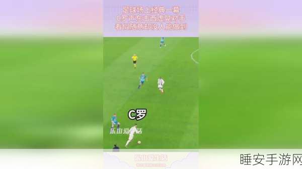 拔萝卜打牌不盖铺:拔萝卜打牌不占地"🃏