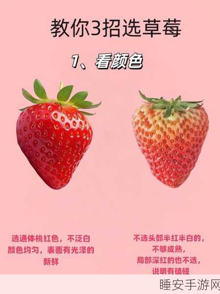 草莓破译版:草莓解密版" 🍓