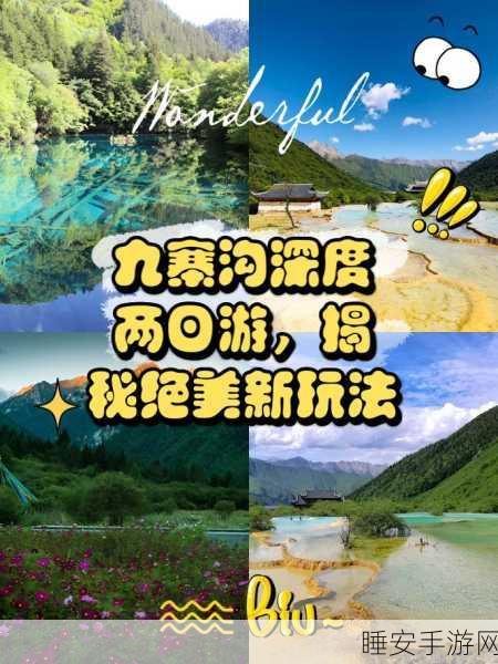 萌宠出击!小狗救援巡逻冒险下载指南及精彩玩法揭秘