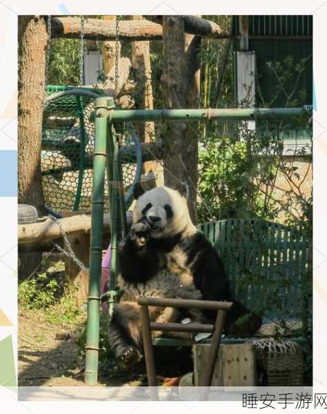 疯狂动物园特别版震撼上线,3D像素跑酷+萌宠养育,打造全新游戏体验