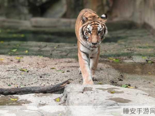 疯狂动物园特别版震撼上线,3D像素跑酷+萌宠养育,打造全新游戏体验