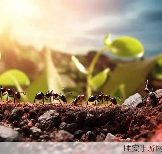 超级蚂蚁免广告版来袭!探索微观世界,尽享蚂蚁模拟乐趣