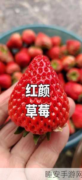 草莓视频在线播放:草莓视频直播" 🍓